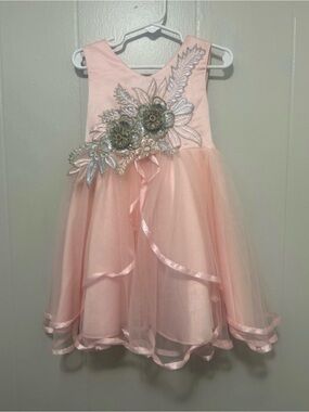 Girls Light Pink Floral Appliqué Tulle Dress
